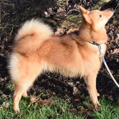 Sami after winning her 1st CC & BoB at Manchester 2018