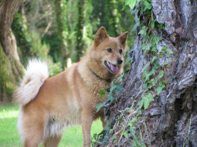 Photo by Theo Hardwick