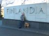 Outside Finlandia Hall, Helsinki